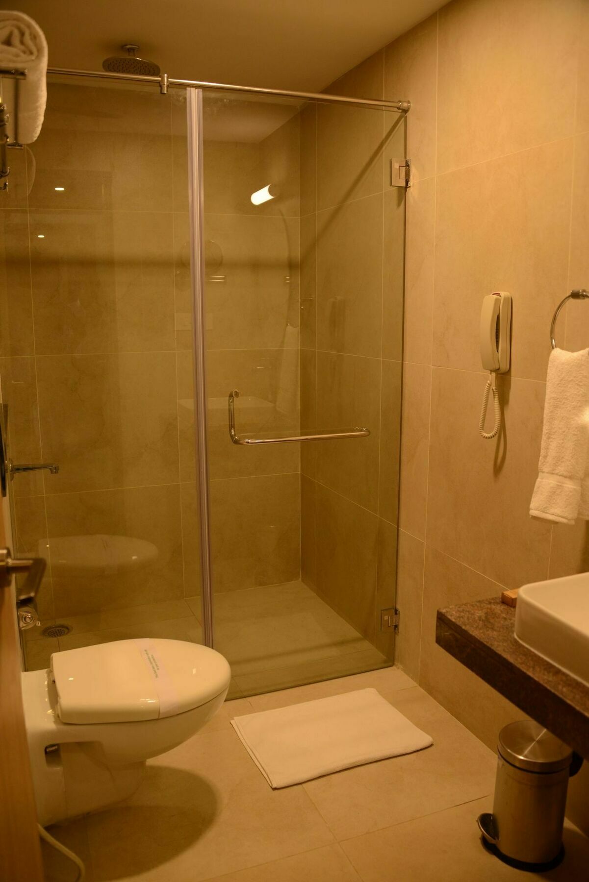 Blu Iris Hotel Chennai Exterior photo